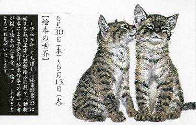 2005中期DM