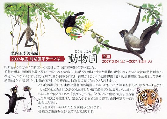 2007前期DM