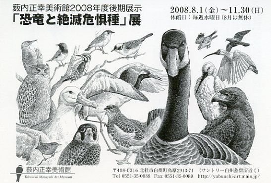 2008後期DM