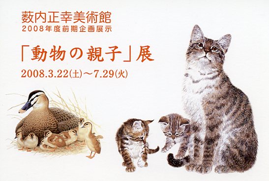 2008前期DM