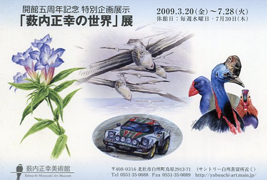 2009前期DM