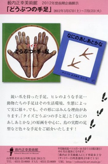2012後期DM