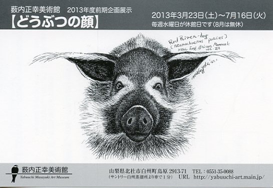 2013前期DM