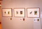 企画展の様子