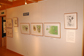 企画展の様子