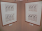 企画展の様子