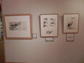 企画展の様子