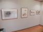 企画展の様子