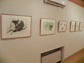 企画展の様子