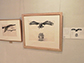 企画展の様子