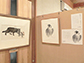 企画展の様子