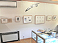 企画展の様子