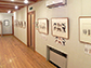 企画展の様子