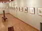企画展の様子