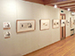 企画展の様子