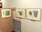 企画展の様子