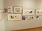 企画展の様子
