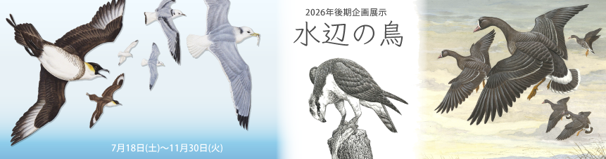 2026後期企画展示